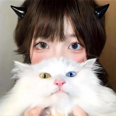 柔情史